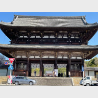 真言宗御室派総本山、仁和寺 ツアー